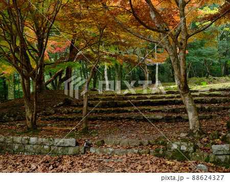 晩秋の滑床自然森林公園の紅葉 晩秋の滑床自然森林公園の紅葉 88624327
