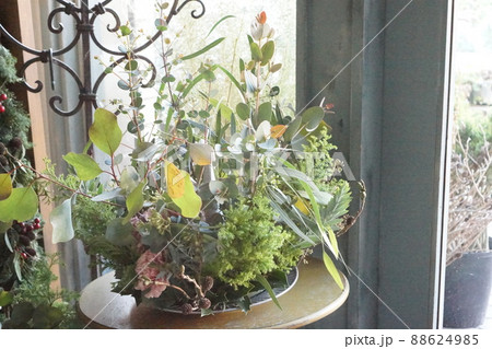 ユーカリのフラワーアレンジ 88624985