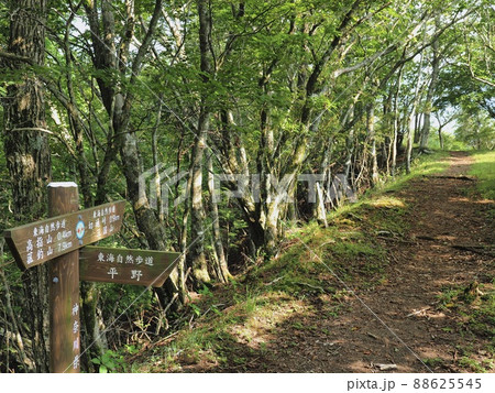 神奈川県 東海自然歩道 88625545