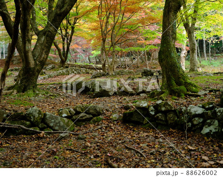 自然豊かな滑床自然森林公園 自然豊かな滑床自然森林公園 88626002