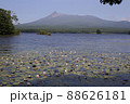 6月の北海道・大沼公園　スイレンと駒ヶ岳 88626181
