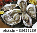 生ガキのある食卓 88626186