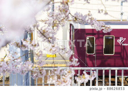 満開の桜に包まれた阪急神崎川駅 【大阪】 満開の桜に包まれた阪急神崎川駅 【大阪】 88626853