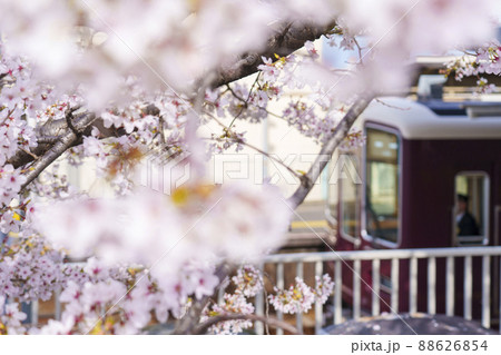 満開の桜に包まれた阪急神崎川駅　【大阪】 88626854