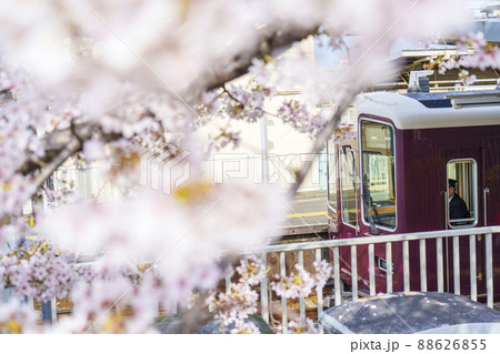 満開の桜に包まれた阪急神崎川駅　【大阪】 88626855