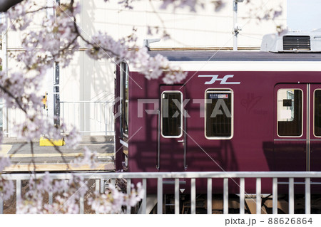 満開の桜に包まれた阪急神崎川駅 【大阪】 満開の桜に包まれた阪急神崎川駅 【大阪】 88626864