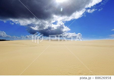 Beautiful sand dunes Port Stephens, Australia. 88626958