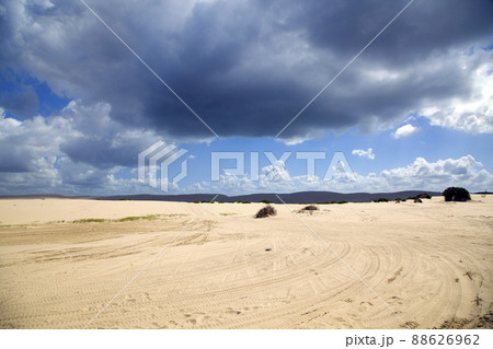 Beautiful sand dunes Port Stephens, Australia. 88626962