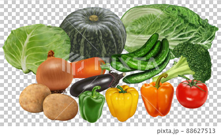 野菜集合 88627513