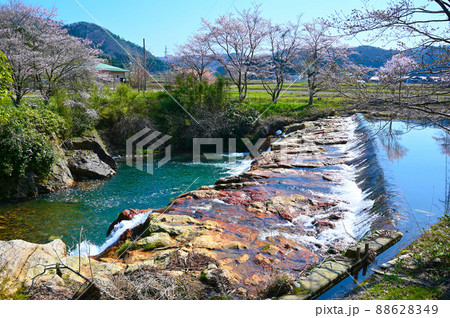 布橋 十ニヶ滝 春 小松市 布橋 十ニヶ滝 春 小松市 88628349