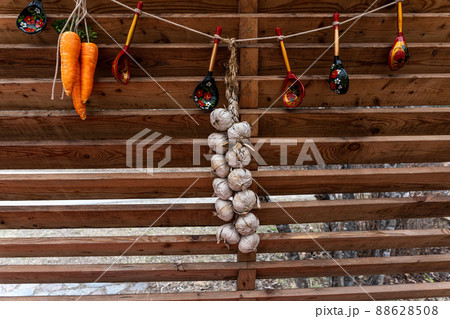 Ripe garlic bulbs hang on an old fence for ventilation. Preparing the autumn season for winter. Ripe garlic bulbs hang on an old fence for ventilation. Preparing the autumn season for winter. 88628508