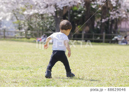 さくらが綺麗な公園で走る男の子の後ろ姿 さくらが綺麗な公園で走る男の子の後ろ姿 88629046