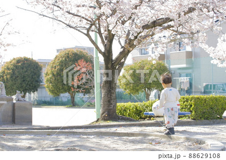 桜が綺麗な公園で歩く男の子の後ろ姿 桜が綺麗な公園で歩く男の子の後ろ姿 88629108