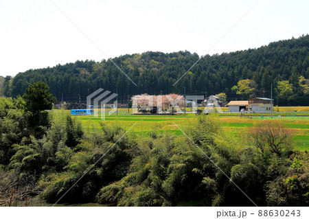 春の風吹く根尾路・6(岐阜県本巣市佐原) 春の風吹く根尾路・6(岐阜県本巣市佐原) 88630243