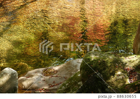 滑床渓谷の水面に映る紅葉 滑床渓谷の水面に映る紅葉 88630655