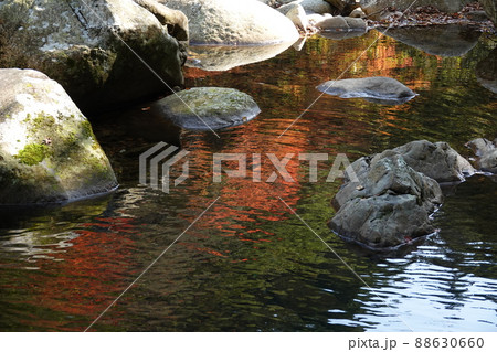 滑床渓谷の水面に映り込む紅葉 滑床渓谷の水面に映り込む紅葉 88630660