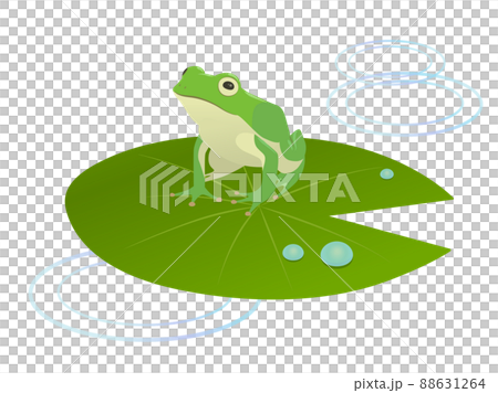 Lotus leaf and frog 88631264