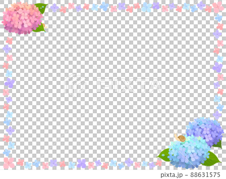 Hydrangea and snail frame 88631575