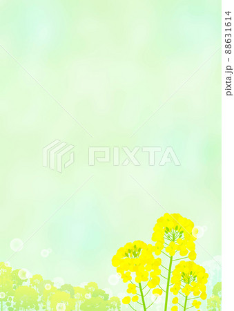 背景素材 菜の花 水滴 シャボン玉 背景素材 菜の花 水滴 シャボン玉 88631614