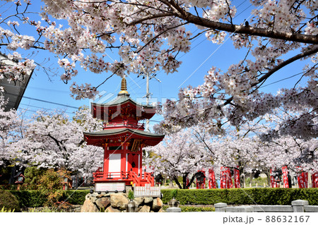 四天王寺(亀遊嶋辯天堂)　【大阪府大阪市天王寺区】 88632167
