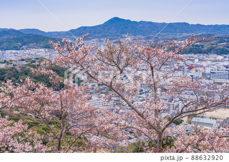 (兵庫県)桜咲く、洲本城跡から眺める、洲本の街並み (兵庫県)桜咲く、洲本城跡から眺める、洲本の街並み 88632920