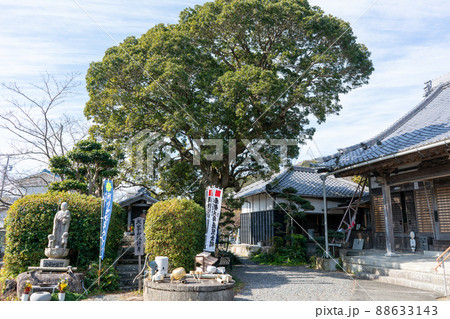 知多四国霊場第三十五番札所 成願寺 知多四国霊場第三十五番札所 成願寺 88633143
