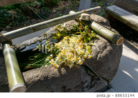 知多四国霊場第三十五番札所　成願寺 88633144