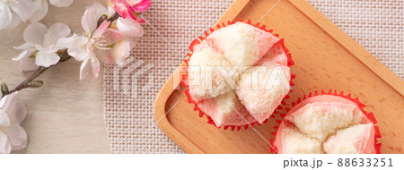 スポンジ 海綿 カイメン 88633251