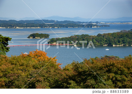 西行戻しの松公園からの松島展望 88633389