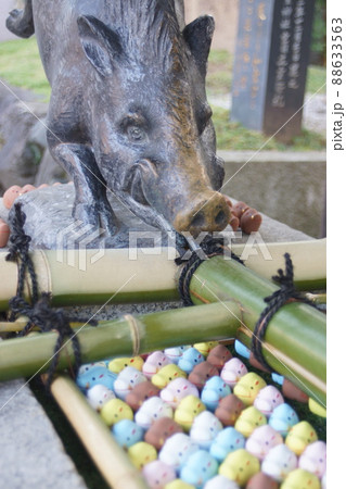 護王神社 (京都) 護王神社 (京都) 88633563