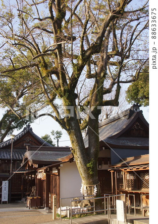 護王神社 (京都) 護王神社 (京都) 88633675