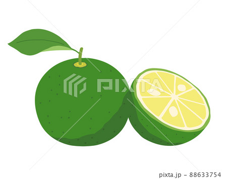すだちやかぼすをイメージしたイラストのイラスト素材