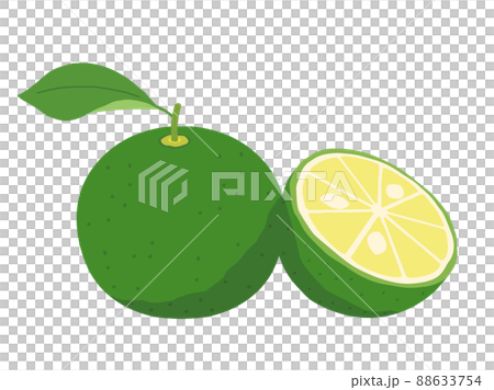 すだちやかぼすをイメージしたイラスト すだちやかぼすをイメージしたイラスト 88633754
