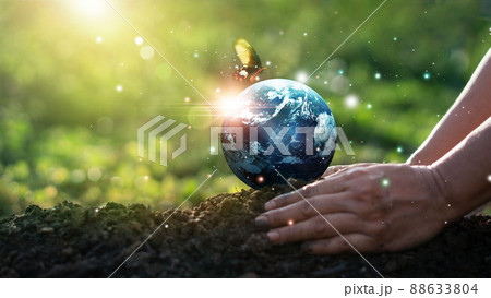 Earth Day and Environment concept, Hands of human protect blue earth and flying butterfly on green morning background. Save clean planet, Saving environment, Ecology and green nature. 88633804