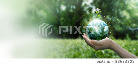 Earth Day and Environment concept, Hands protect blue earth and white flower with flying butterfly on green morning background. Save clean planet, Saving environment, Ecology and green nature. 88633805