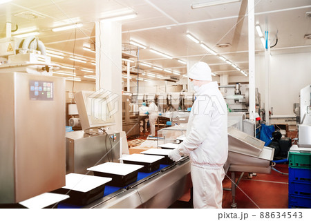 Meat processing in food industry.Chicken fillet production line.Conveyor Belt Food.Group of workers working at a chicken factory food processing plant.Automated production line in modern food factory. 88634543