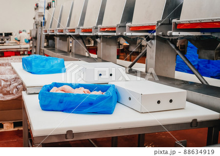 Line for the production of semi-finished meat products.Meat processing in food industry.Packing of meat slices in boxes on a conveyor belt.modern poultry processing plant. Line for the production of semi-finished meat products.Meat processing in food industry.Packing of meat slices in boxes on a conveyor belt.modern poultry processing plant. 88634919