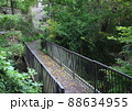 木々に囲まれた生活道(川を越える歩道橋と石階段) 88634955