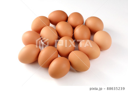 卵 卵 88635239