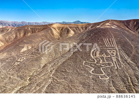 Aerial View of Palpa Geoglyphs. UNESCO world heritage in Peru 88636145
