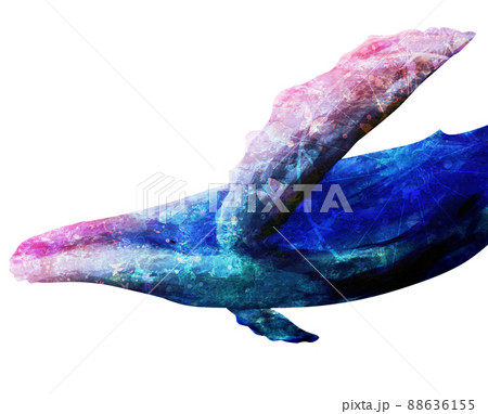 遠近感のある幻想的なクジラ 88636155