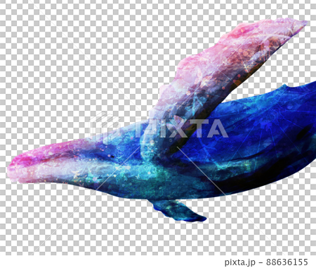 A fantastic whale with a sense of perspective A fantastic whale with a sense of perspective 88636155