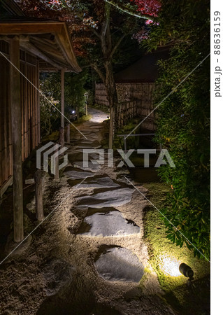 日光山輪王寺 逍遥園ライトアップ 日光山輪王寺 逍遥園ライトアップ 88636159