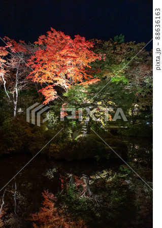 日光山輪王寺 逍遥園ライトアップ 日光山輪王寺 逍遥園ライトアップ 88636163