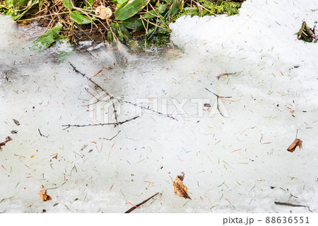 雪解けの氷に閉じ込められた落ち葉と枝 88636551