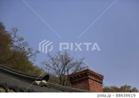 風景 建物 木 88636619