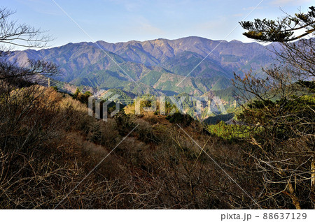 丹沢の大山三峰山より丹沢の山並 88637129