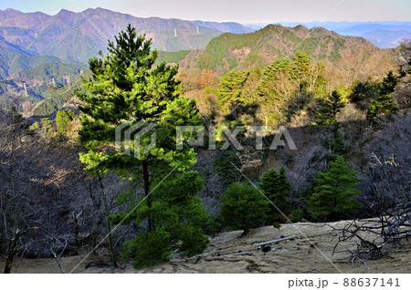 丹沢の大山三峰山より丹沢三峰と鍋嵐を望む 丹沢の大山三峰山より丹沢三峰と鍋嵐を望む 88637141