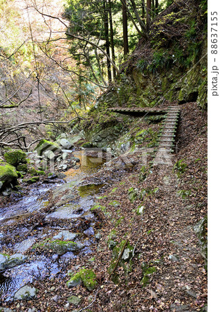 丹沢の七沢山 谷太郎林道三峰山コース 谷太郎川の深沢を通る道 丹沢の七沢山 谷太郎林道三峰山コース 谷太郎川の深沢を通る道 88637155