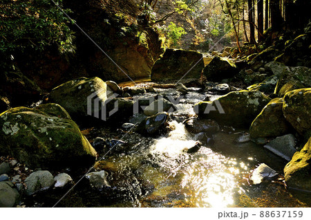 丹沢の三峰山 きらめく谷太郎川 丹沢の三峰山 きらめく谷太郎川 88637159